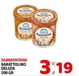Mio Market Sammontana Barattolino Delizia offerta