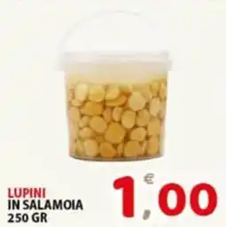 Premium Supermercati Lupini in salamoia offerta