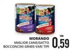 Mazzeo Giocattoli Miglior cane/gatto offerta