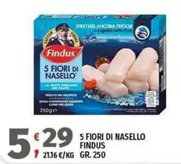 Vivo Supermercati 5 Fiori di Nasello Findus offerta