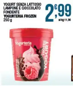 Sidis Yogurt senza lattosio lampone e cioccolato fondente Yogurteria Frozen offerta