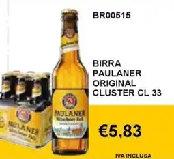Italy Cash and Carry Birra Paulaner Original offerta