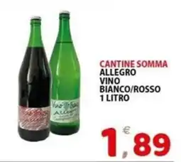Il Centro Superstore Vino Allegro offerta