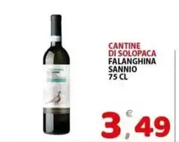 Il Centro Superstore Falanghina Sannio offerta