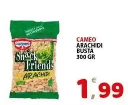 Il Centro Superstore Cameo Snack Friends Arachidi offerta