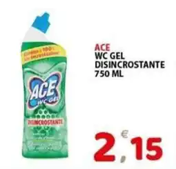 Il Centro Superstore Ace wc gel disincrostante offerta