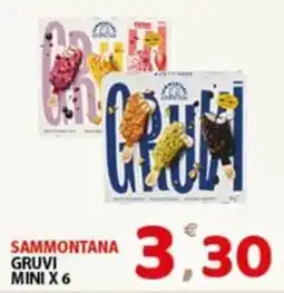 Premium Supermercati Sammontana Gruvi Mini offerta