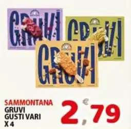 Premium Supermercati Sammontana Gruvi Gusti Vari offerta