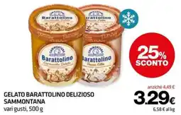 Superconti Gelato Barattolino Delizioso Sammontana offerta