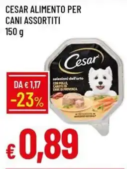 IperFamila Cesar alimento per cani assortiti offerta