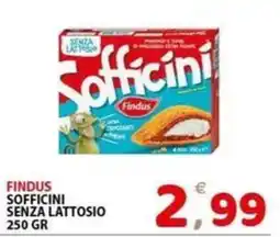 Il Centro Superstore Sofficini senza lattosio Findus offerta