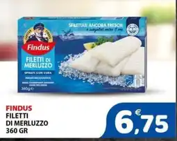 Il Centro Superstore Findus filetti di merluzzo offerta