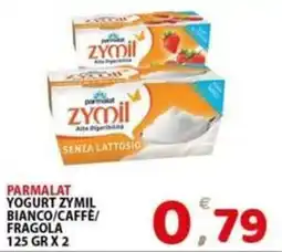 Il Centro Superstore Parmalat Yogurt Zymil offerta