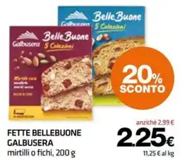 Superconti Fette Bellebuone Galbusera offerta