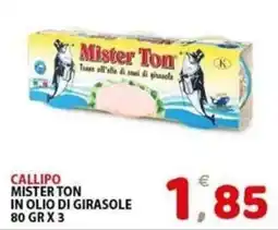 Il Centro Superstore Callipo Mister Ton offerta