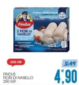 SpesAmica Findus Fiori di Nasello offerta