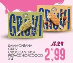 SpesAmica Sammontana Gruvi croccantino offerta