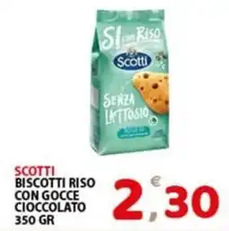 Premium Supermercati Scotti biscotti riso con gocce cioccolato offerta