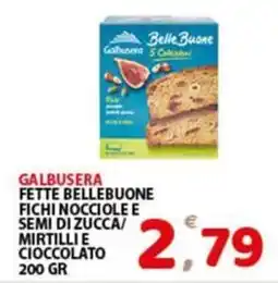 Premium Supermercati Galbusera fette bellebuone fichi nocciole e semi di zucca mirtilli e cioccolato offerta