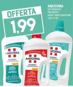 Gran Risparmio Amuchina detergente pavimenti offerta
