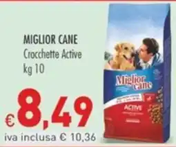 Cash & Carry Grossy Crocchette Active Miglior Cane offerta