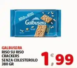 Mio Market Galbusera Riso su Riso Crackers Senza Colesterolo offerta