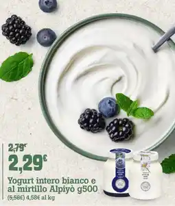 Banco Fresco Yogurt intero bianco e al mirtillo Alpiyò offerta