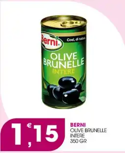 Rosa Cash Berni olive brunelle intere offerta