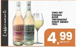 Interspar Vino IGT Pasqua Rose Trevenezie/Pinot Grigio offerta