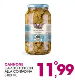 Rosa Cash Cannone carciofi spicchi alla contadina offerta