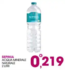 Rosa Cash Sepinia acqua minerale naturale offerta