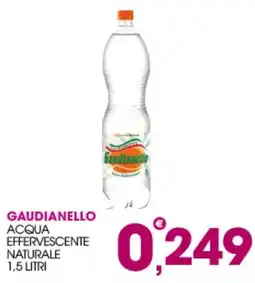 Rosa Cash Gaudianello acqua effervescente naturale offerta