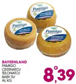 Rosa Cash Pamigo offerta
