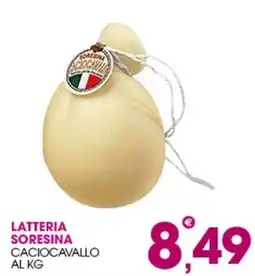 Rosa Cash Latteria Soresina Caciocavallo offerta