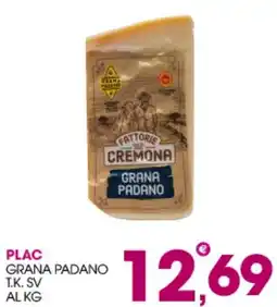Rosa Cash Plac Grana Padano offerta