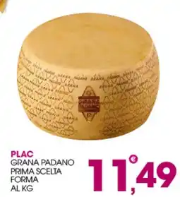 Rosa Cash Plac Grana Padano Prima Scelta offerta