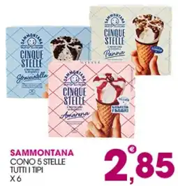 Rosa Cash Sammontana cono 5 stelle offerta