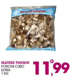 Rosa Cash Matese funghi porcini cubo extra offerta