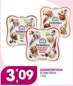 Rosa Cash Sammontana Sorbettiera offerta