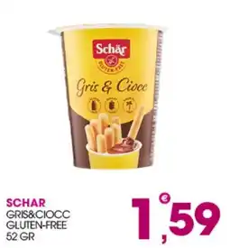 Rosa Cash Schar Gris & Ciocc offerta