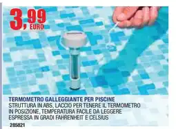 Self Termometro galleggiante per piscine offerta
