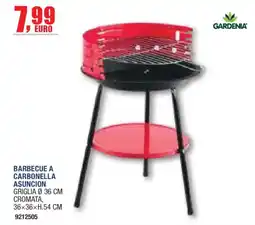 Self Barbecue a carbonella Asuncion offerta
