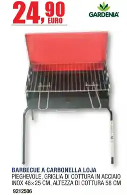 Self Barbecue a carbonella Loja offerta