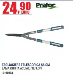 Self Tagliasiepe telescopica Prafor offerta