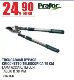Self Troncarami bypass prafor offerta