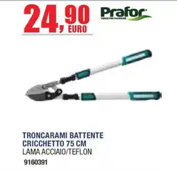 Self Troncarami battente Prafor offerta