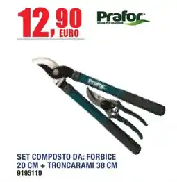 Self Prafor Set composto da: forbice 20 cm + troncarami 38 cm offerta