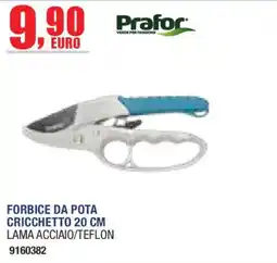 Self Forbice da pota Prafor offerta