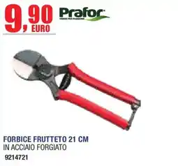 Self Forbice frutteto 21 cm in acciaio forgiato Prafor offerta