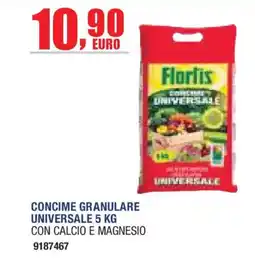 Self Concime granulare universale Florlis offerta